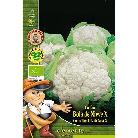 Semillas ecológicas de Coliflor Bola De Nieve X