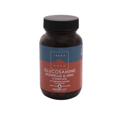 Glucosamina Boswelia Msm Complex 100 Caps Terranova