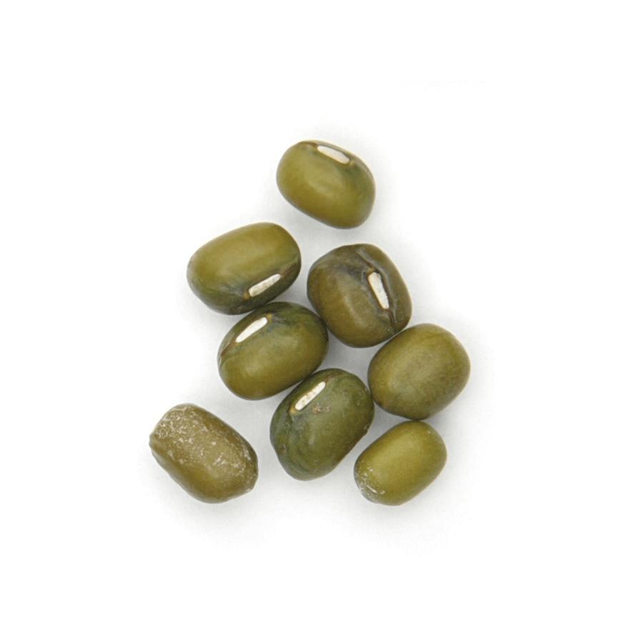 Judia Mungo Soja Verde Bio El Granero 500 gr