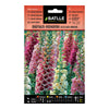 Semillas de Digitalis Dedalera excelsior híbrido Batlle