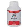 Holomega Kosterol 180 Cápsulas Equisalud