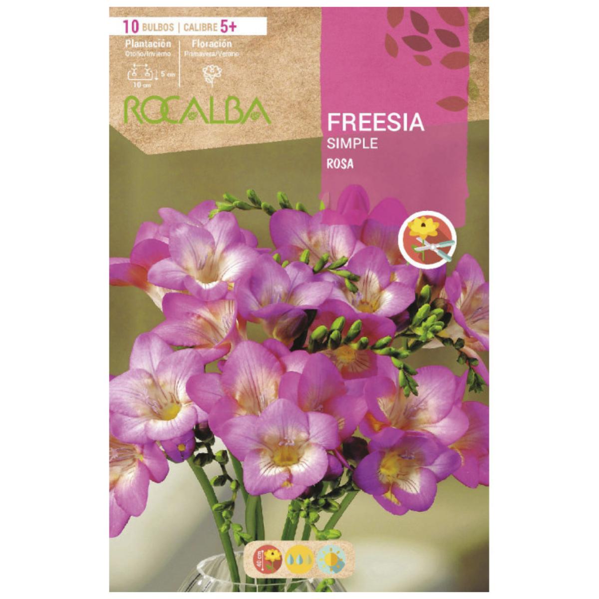 Bulbo Freesia simple rosa 10 uds Rocalba