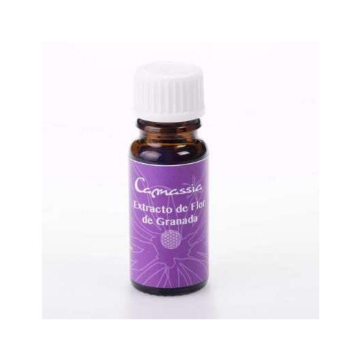Extracto de flor de granada Camassia