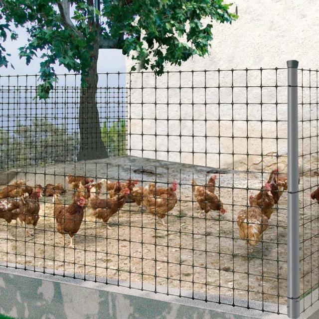 Malla avícola gallinera Avinet Nortene 24 x 27 mm
