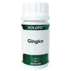 Holofit Ginkgo Equisalud 180 cápsulas