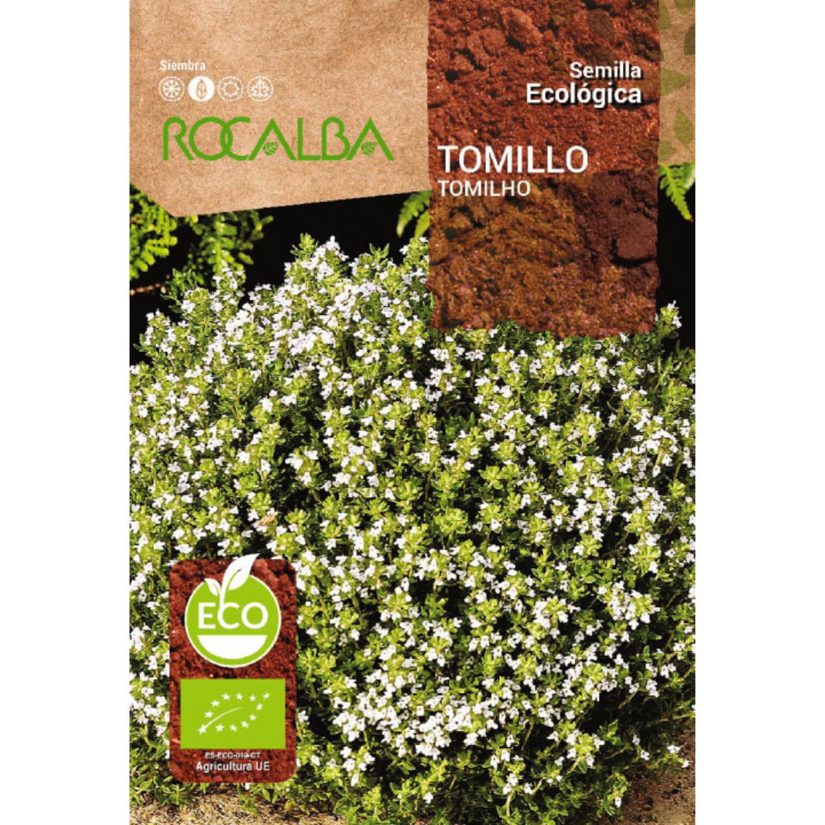 Semillas ecológicas de tomillo Rocalba