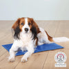 Trixie Alfombrilla refrescante para mascotas 100 x 60 cm