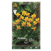 Bulbos Narciso Jetfire amarillo naranja 5 uds