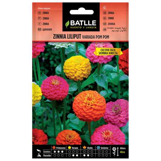 Semillas de Zinnia Liliput variada Pom Pom Batlle