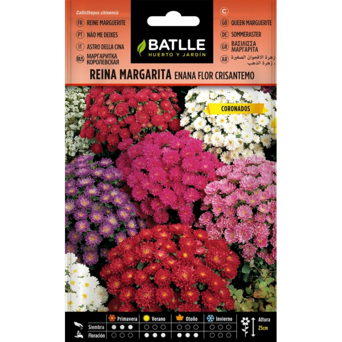 Semillas de Reina Margarita enana flor crisantemo Batlle
