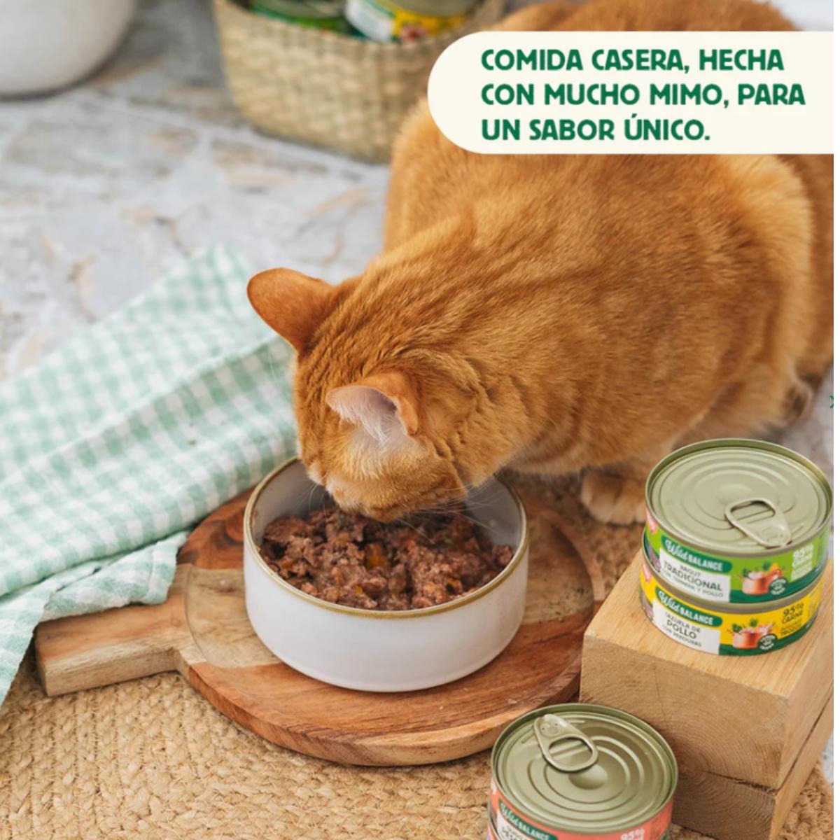 Pack Guiso del pescador salmón y cerdo para gatos 6x80 g Wild Balance