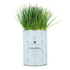 Kit de cultivo aromáticas Cebollino Planeta Huerto