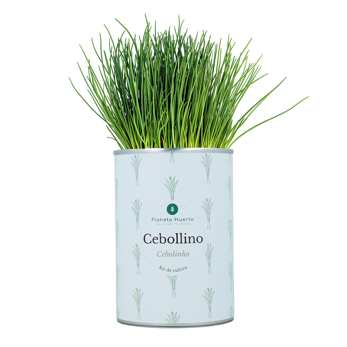 Kit de cultivo aromáticas Cebollino Planeta Huerto