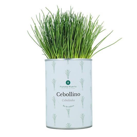 Kit de cultivo aromáticas Cebollino Planeta Huerto