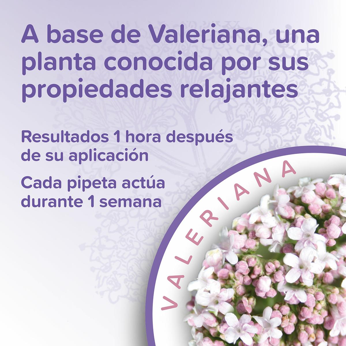 Calming Spot On Pipetas calmantes para gatos Beaphar 3x0,4 ml
