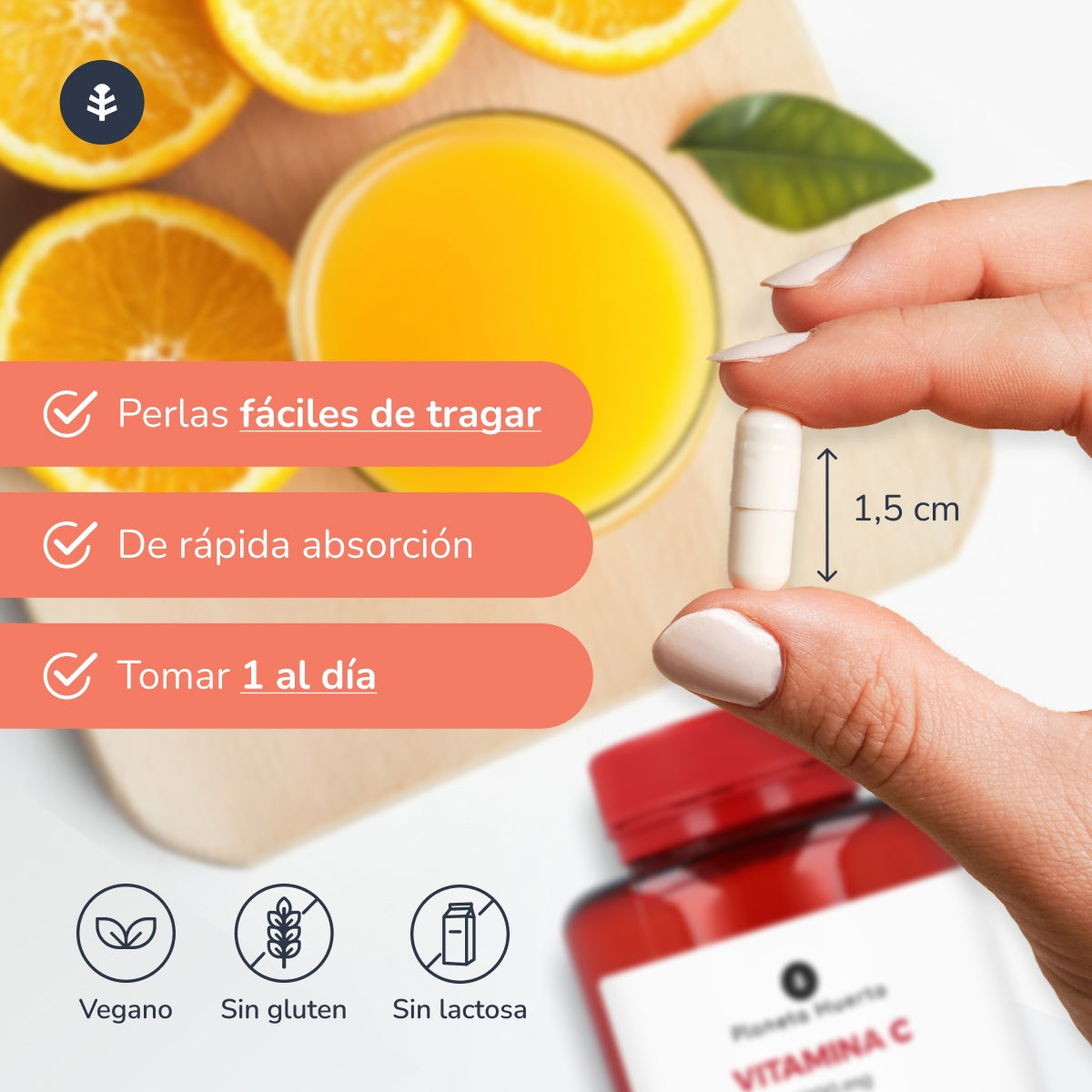 Vitamina C 1000 mg Planeta Huerto 90 cápsulas vegetales