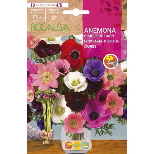 Bulbo Anémona Caén extra larga mezcla 10 uds Rocalba
