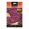 Semillas de Aliso anual violeta Batlle