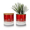 Kit cultivo pino navideño Paisaje nevado, Garden Pocket