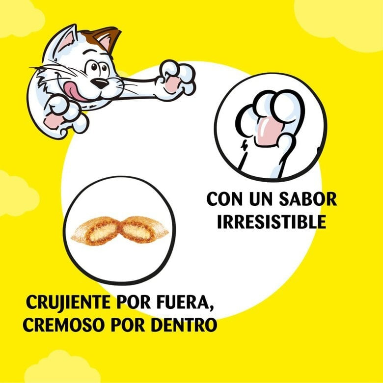 Catisfactions Premios con queso para gatos 60 g