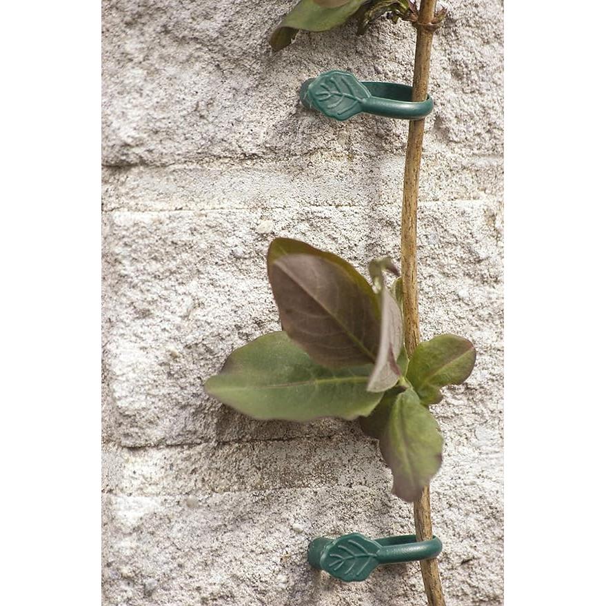 Abrazadera para trepadoras con clavo Biotop 8 ud