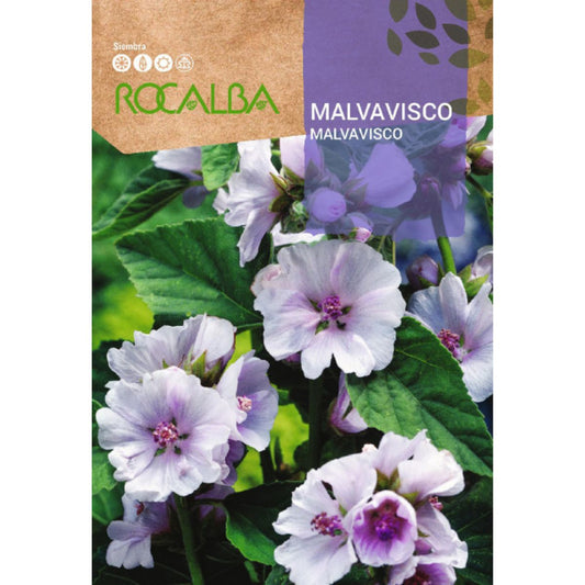Semillas de Malvavisco