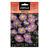 Semillas de Aster Alpino