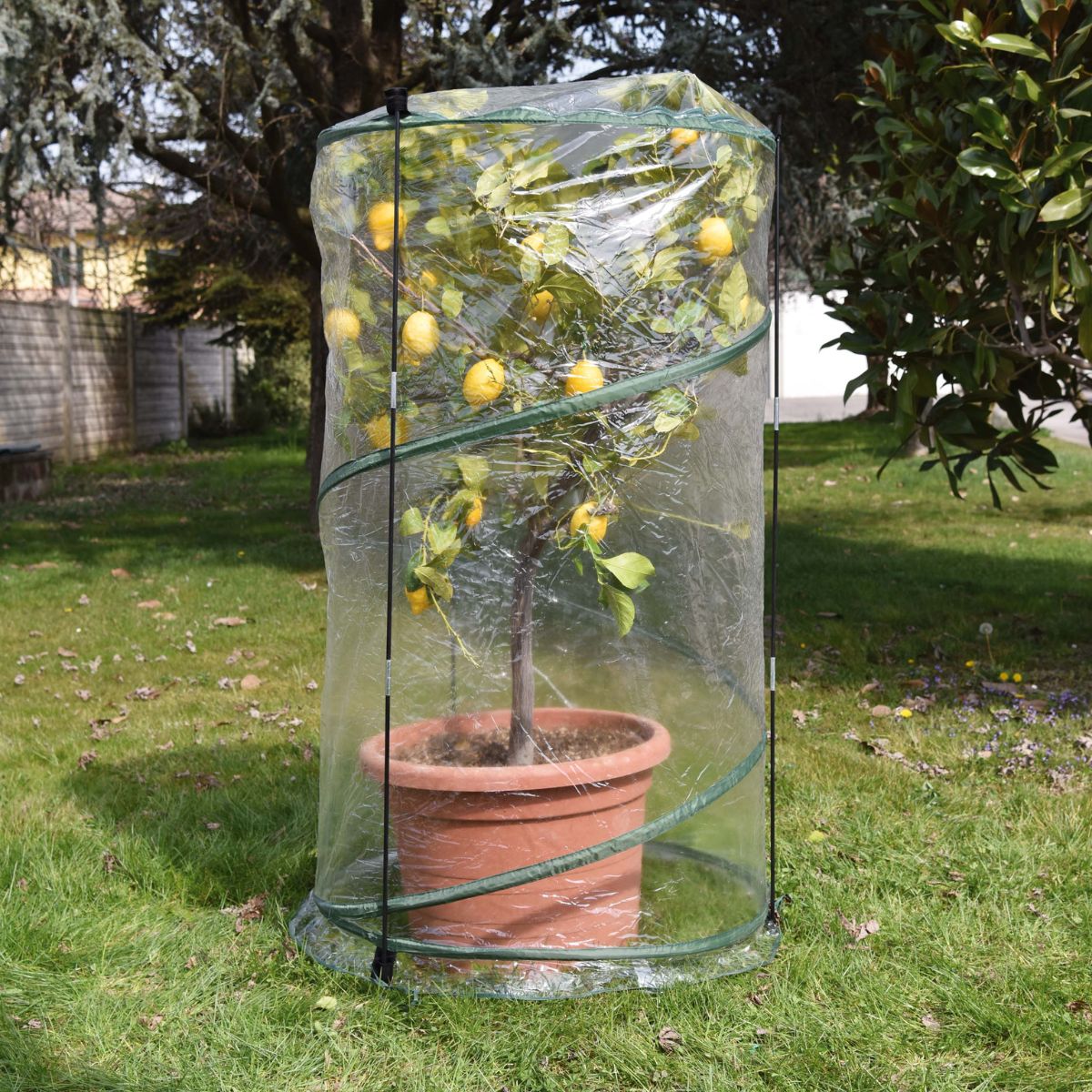 Invernadero pop-up Verdemax ø 70 x 110 cm