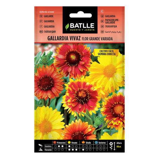 Semillas de Gallardía vivaz Batlle