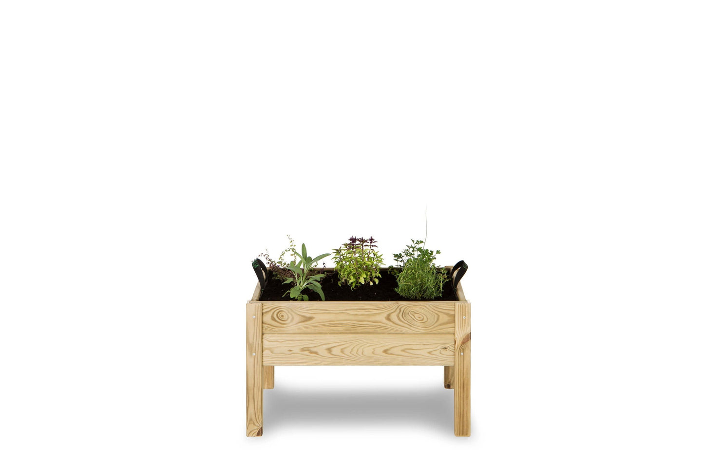 Kit de mesa de cultivo infantil Leo Hortalia