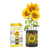 Kit de Cultivo Planta tu Propio Girasol, Garden Pocket