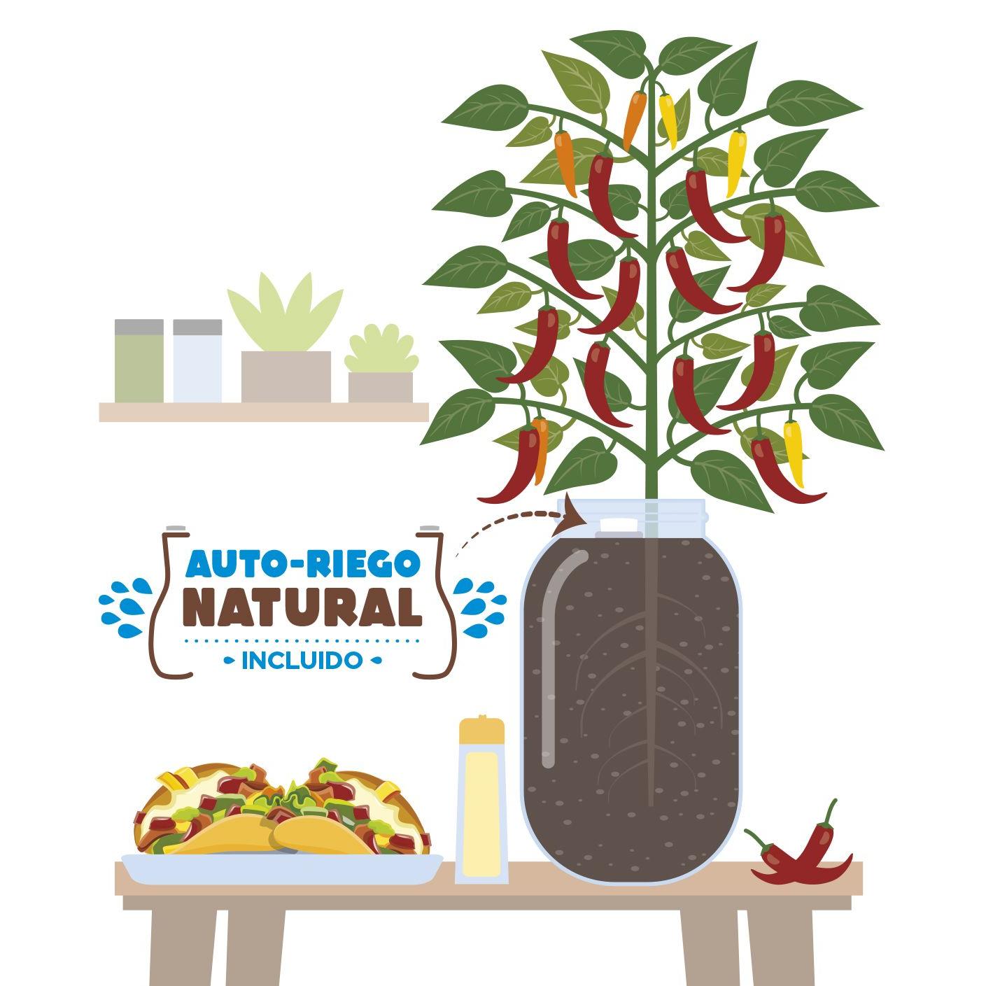 Kit de cultivo interior Pimientos Snack