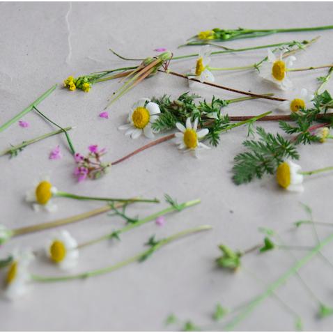 Kit Flower Press