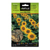 Semillas de Girasol para pipas
