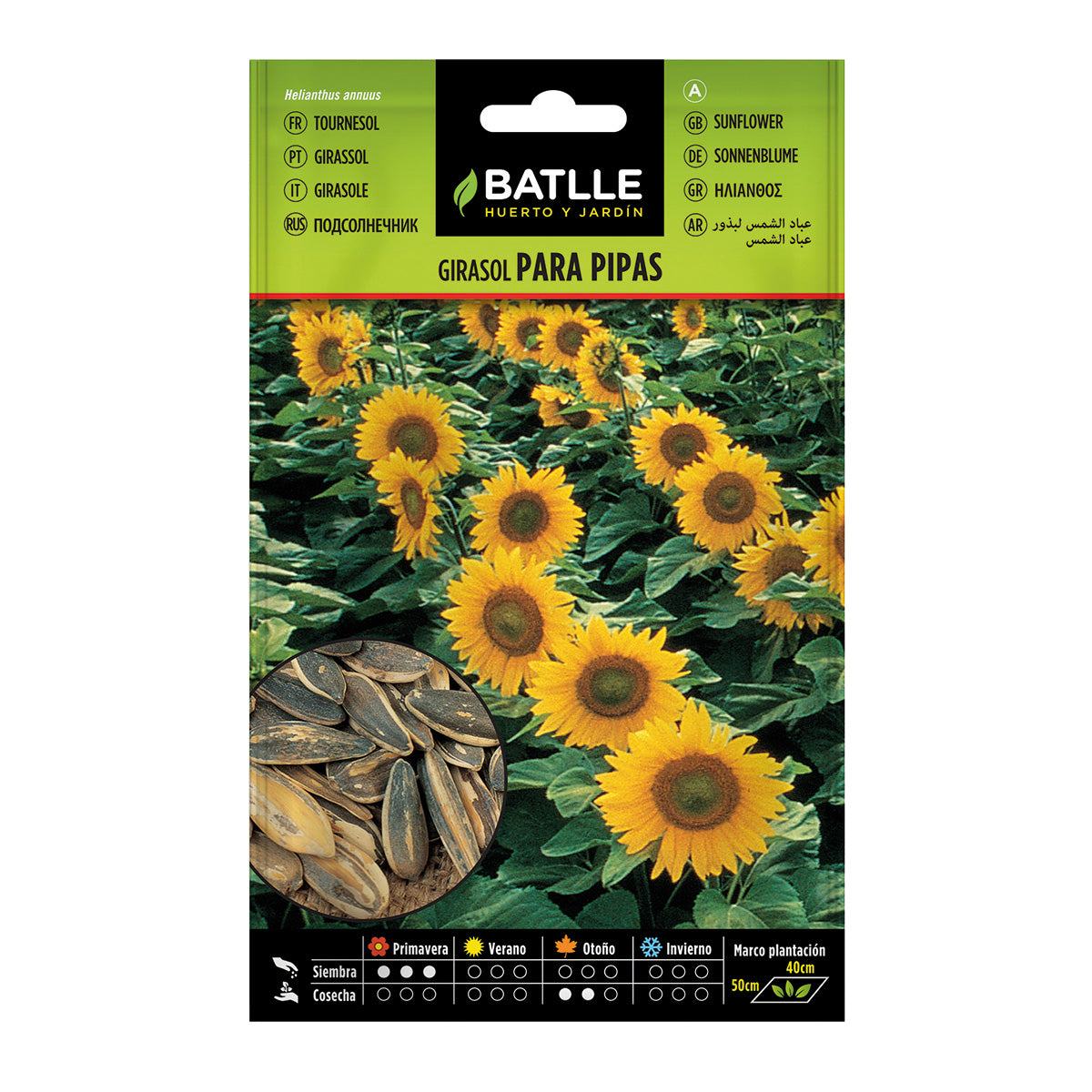 Semillas de Girasol para pipas Batlle