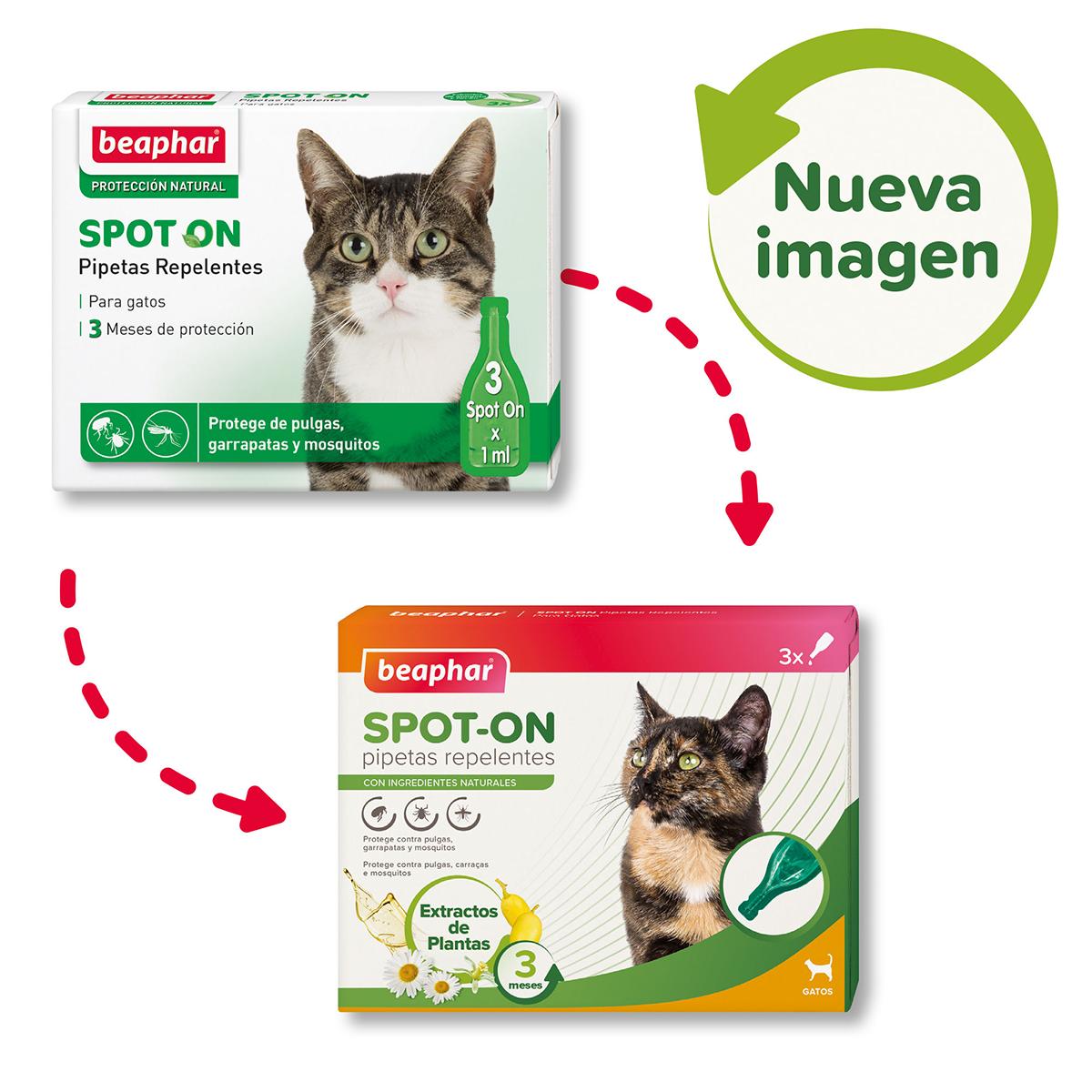 Pipetas repelentes antiparasitarias naturales gatos 3x1 ml