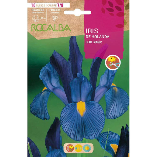 Bulbo Iris de Holanda Blue Magic azul 10 uds Rocalba