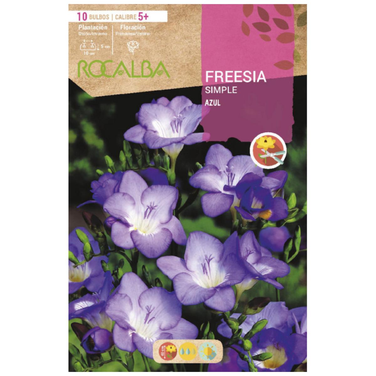 Bulbo Freesia simple azul 10 uds Rocalba