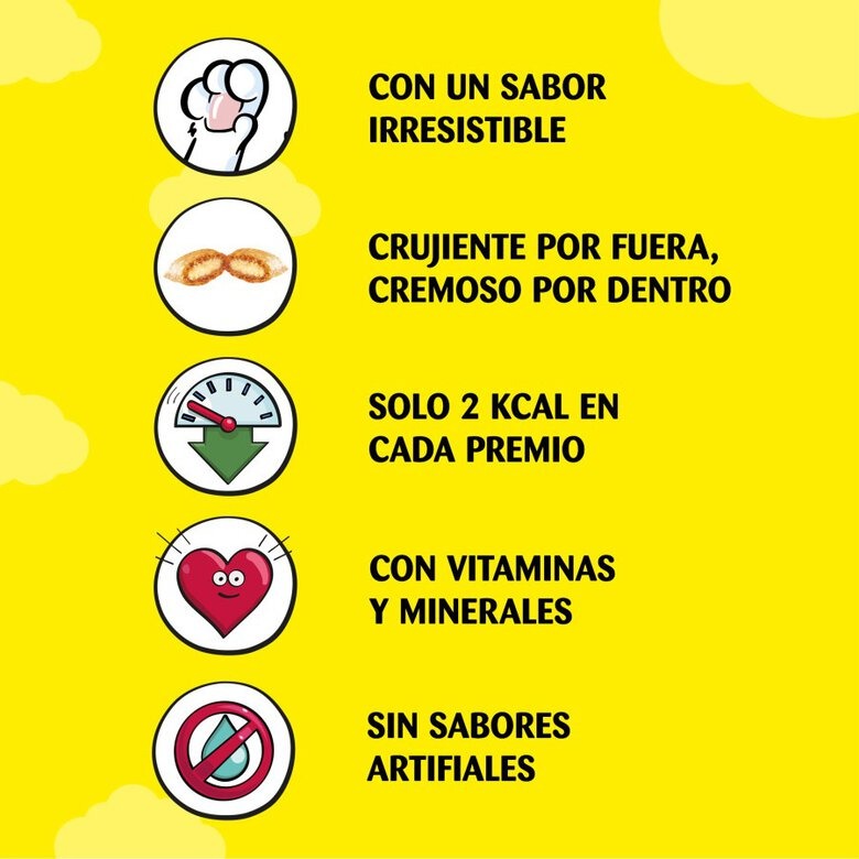 Catisfactions Premios con salmón para gatos 60 g