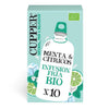 Infusión Fría de Menta y Cítricos Bio Cupper 10 Bolsas