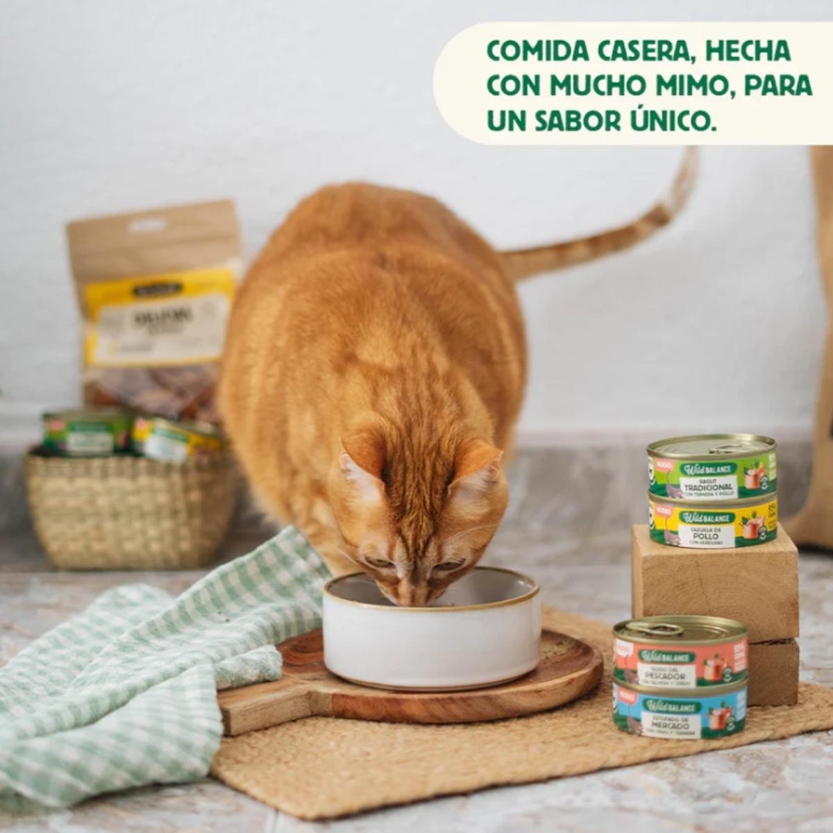 Pack Cazuela de pollo para gatos 6x80 g Wild Balance