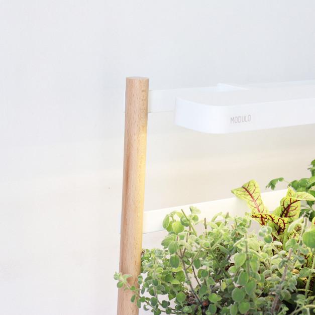 Huerto Interior MODULO Prêt à Pousser