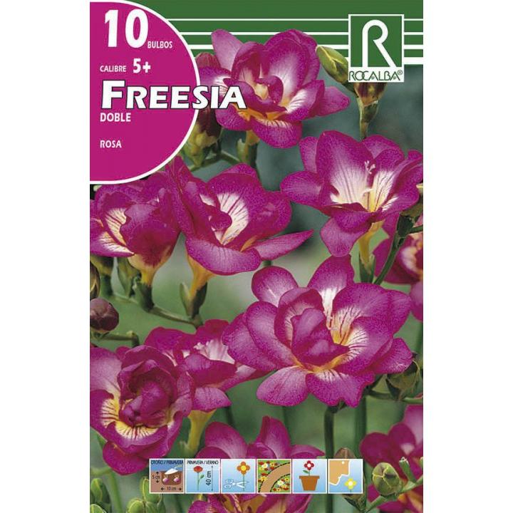 Bulbo Freesia doble roa 10 uds Rocalba