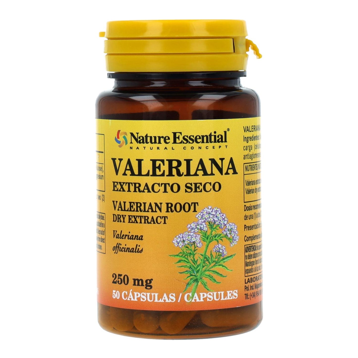 Valeriana 250 mg en extracto seco 50 Caps