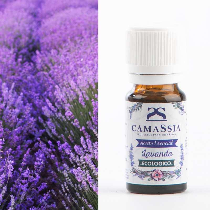 Aceite esencial lavanda BIO Camassia