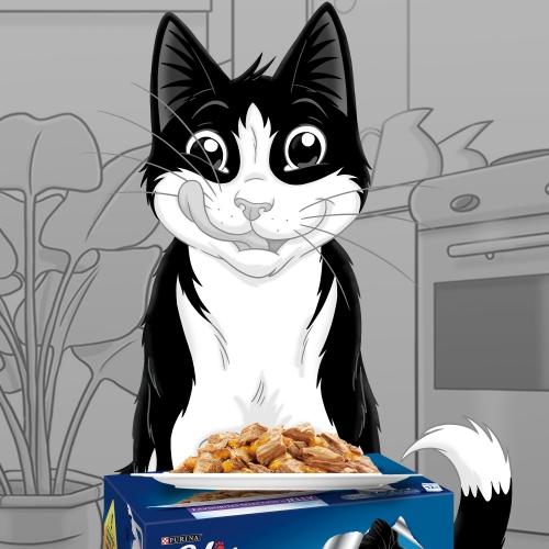 FELIX Duo Festín de Sabores en Gelatina 12 x 85 g