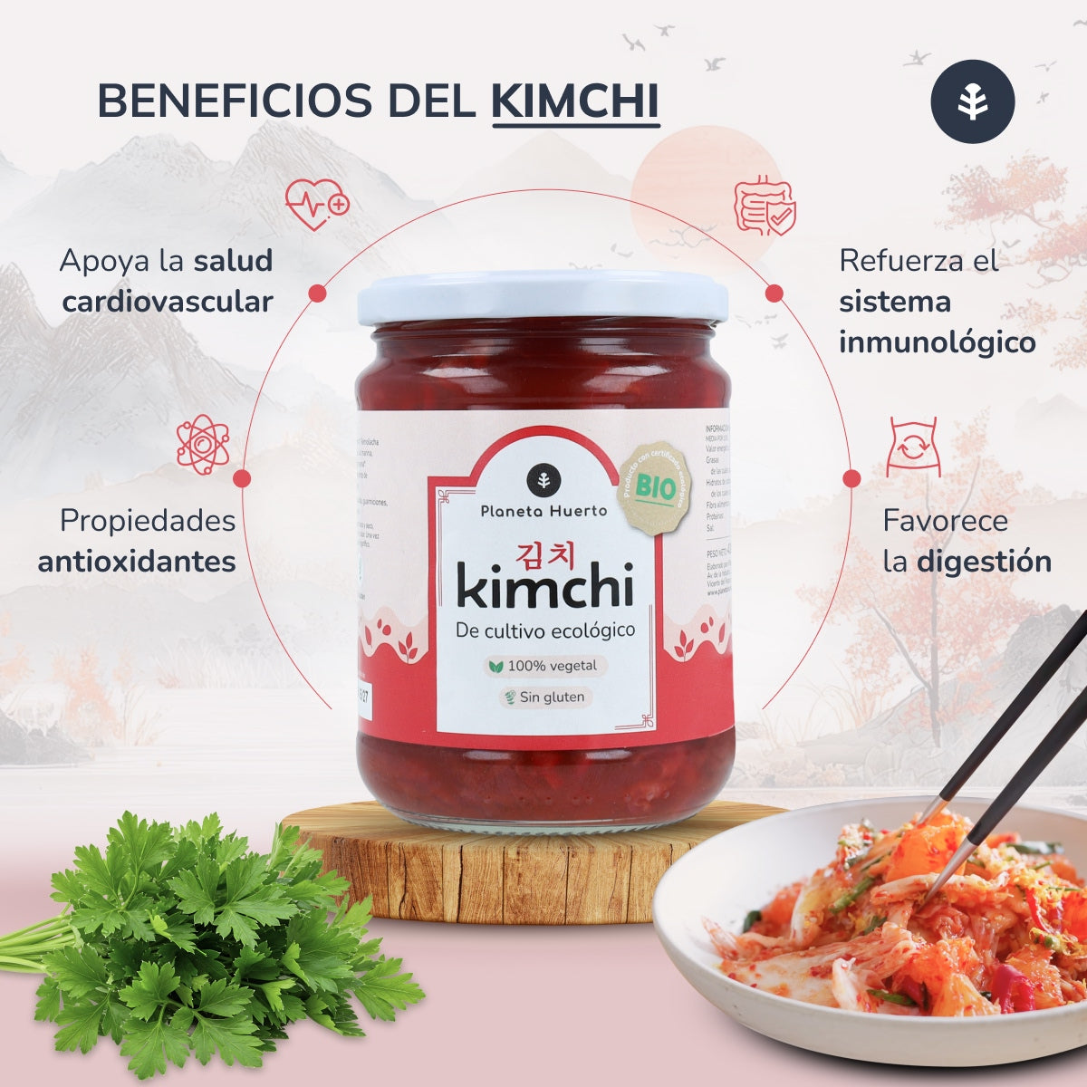 Pack 12x Kimchi ECO Planeta Huerto 420 g