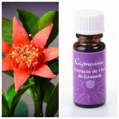 Extracto de flor de granada Camassia