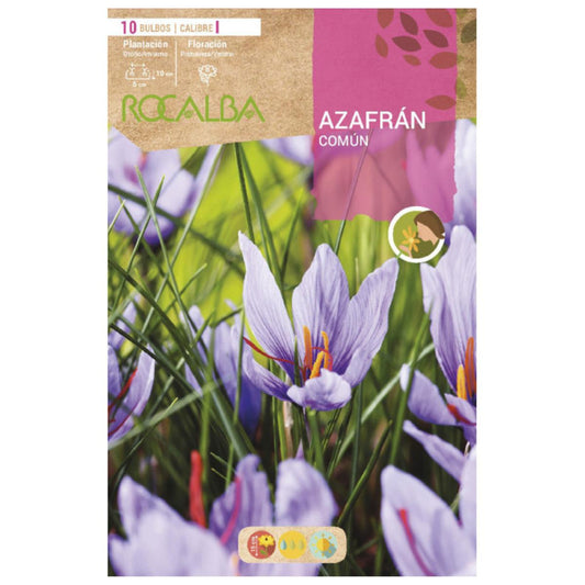 Bulbo Azafrán común 10 uds Rocalba