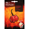Semillas Pimiento Picante Scotch Bonnet Rocalba